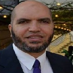 احمد سمير فريد